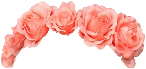 Delicate Pink Roses Black Background PNG Image