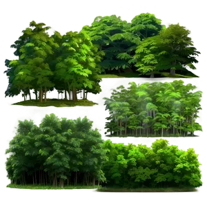 Dense Forest Landscape Png 37 PNG Image