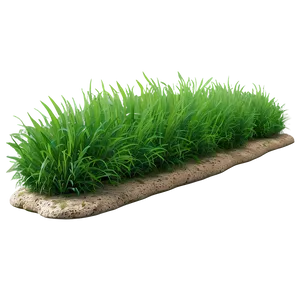 Dense Green Grass Png 46 PNG Image