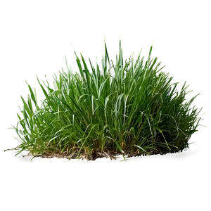 Dense Green Grass Png 73 PNG Image