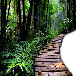 Dense Jungle Trekking Route PNG 06202024 PNG