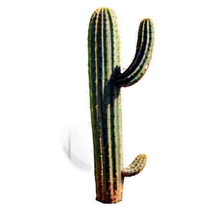 Desert Cactus Png Rmc70 PNG Image