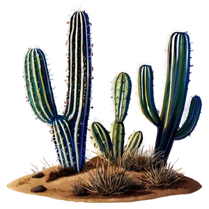 Desert Cactus Png Xhu13 PNG Image