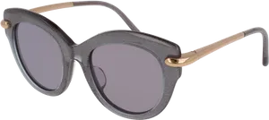 Designer Black Round Sunglasses PNG Image