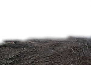 Desolate_ Wasteland_ Background PNG Image