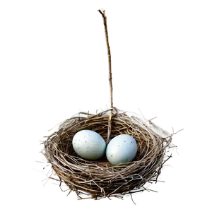 Detailed Bird Nest Png 46 PNG Image