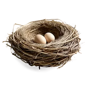 Detailed Bird Nest Png Pja1 PNG Image