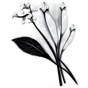 Detailed Black White Flowers Png Glu PNG Image