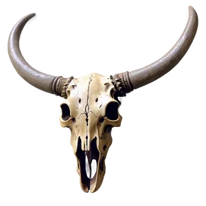 Detailed Bull Skull Sketch Png Tpo34 PNG Image