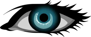Detailed Cartoon Eye Illustration PNG