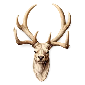 Detailed Deer Antler Engraving Png Qfu17 PNG Image