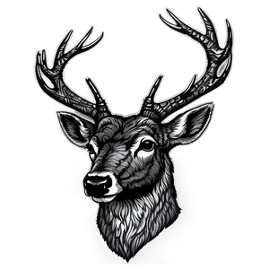 Detailed Deer Head Sketch Png Uxt55 PNG Image