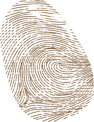 Detailed Fingerprint Pattern PNG Image