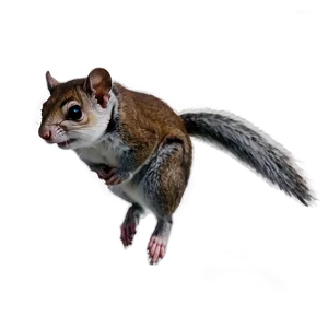 Detailed Flying Squirrel Png Avl PNG Image