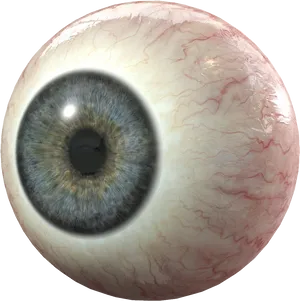 Detailed Human Eyeball Closeup PNG Image