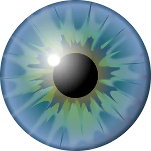 Detailed Iris Eye Lens Graphic PNG Image