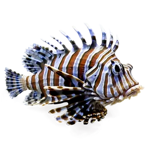 Detailed Lionfish Png Inm49 PNG Image