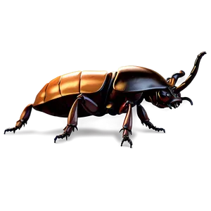 Detailed Rhino Beetle Png 3 PNG Image