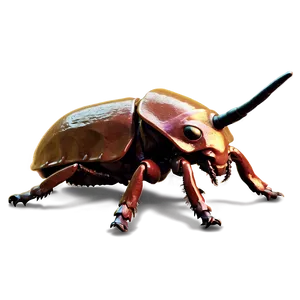 Detailed Rhino Beetle Png Aga PNG Image