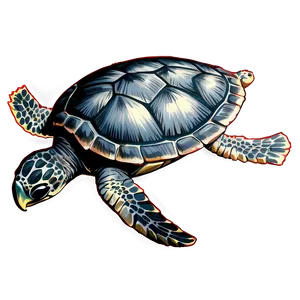 Detailed Sea Turtle Sketch Png Gwh97 PNG Image