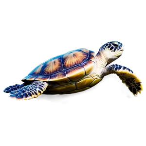 Detailed Sea Turtle Sketch Png Wml8 PNG Image