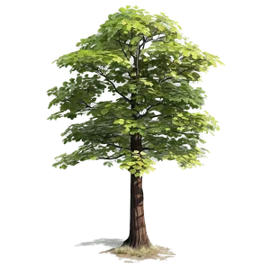 Detailed Tree Top Texture Png Nbg PNG Image