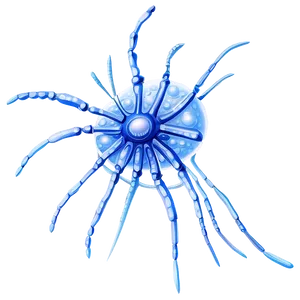 Detailed Zooplankton Drawing Png 74 PNG Image