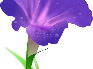 Dew Kissed Morning Glory PNG Image