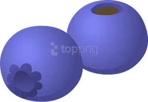 Digital Blueberries Illustration PNG Image