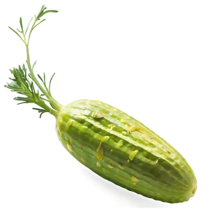 Dill Pickle B PNG Image