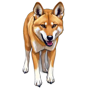 Dingo Illustration Png Vrp5 PNG Image