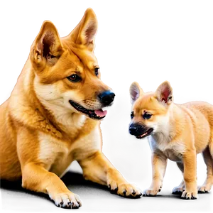 Dingo With Puppies Png Knu68 PNG Image