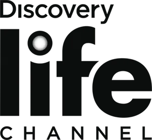 Discovery Life Channel Logo PNG Image