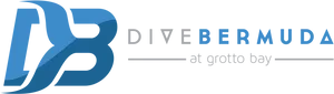 Dive Bermuda Logo PNG Image