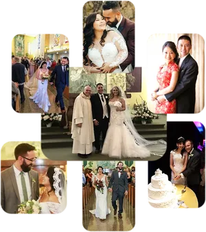 Diverse Wedding Couples Collage PNG Image