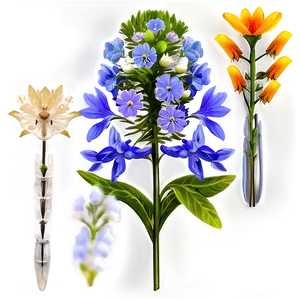 Diverse Wildflowers Collection Png 15 PNG Image