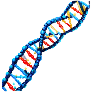 Dna Replication Process Png 72 PNG Image