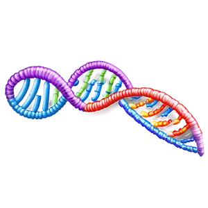 Dna Replication Process Png Cuy99 PNG Image