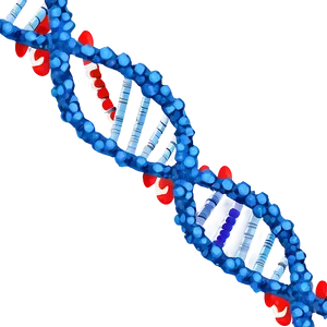 Dna Scan Genetics Png Spu PNG Image