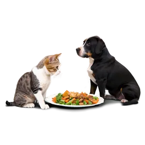 Dog And Cat Eating Together Png Lxs8 PNG Image