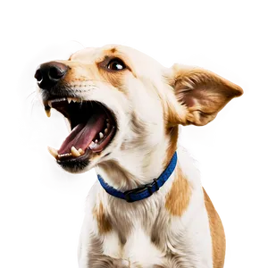 Dog Barking Sound Png 06272024 PNG Image