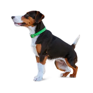 Dog Cartoon Transparent Background Png Jex22 PNG Image