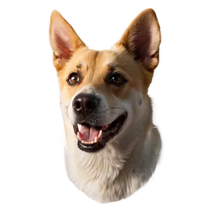 Dog Head Drawing Png 34 PNG Image