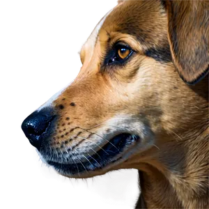 Dog Head Drawing Png Uvk PNG Image