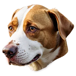 Dog Head Vector Png Unn PNG Image