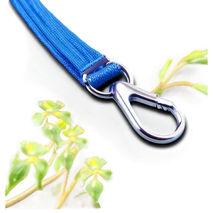 Dog Leash Png Foh43 PNG Image