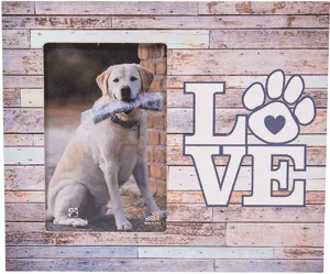 Dog Love Wooden Frame PNG Image