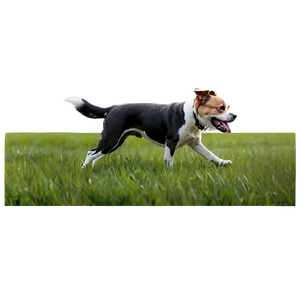 Dog Walking Field Png Jyt PNG Image