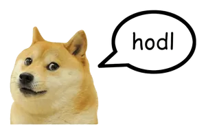 Doge Hodl Meme PNG Image