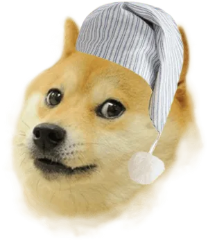 Doge In Sleep Cap Meme PNG Image